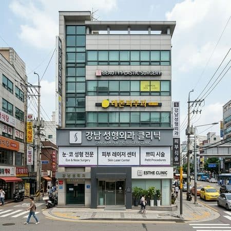 Gangnam Plastic Surgery